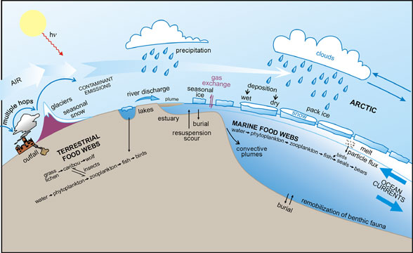 The transport pathways. 